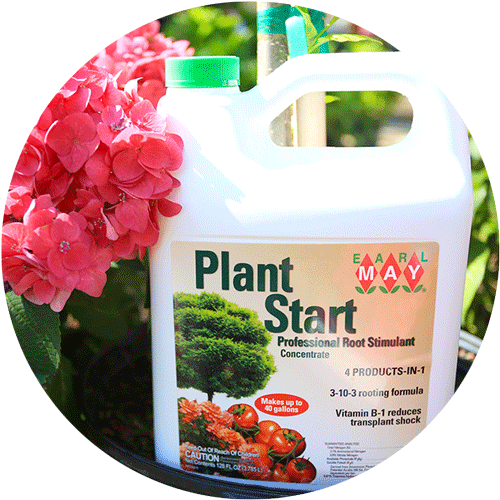 A bottle of Plant Start sitting next to a bright pink Hydrangea bloom.